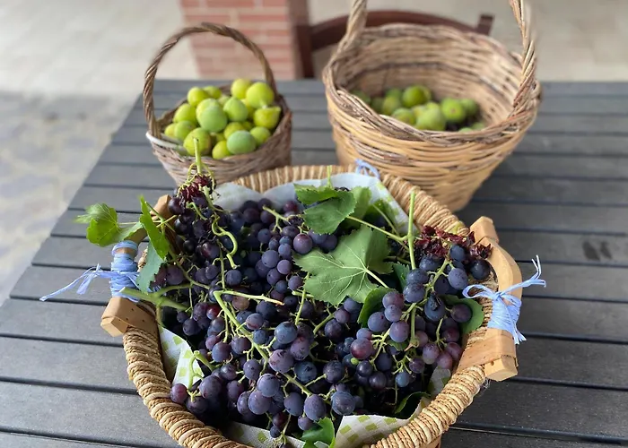 Villa Vittoria Matera